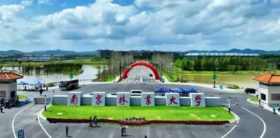 南京林业大学MBA项目2025年全国硕士研究生招生考试报名通知