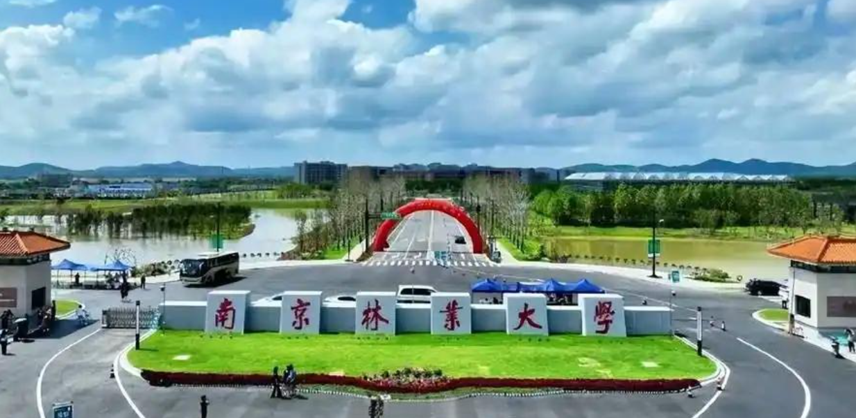 关于南京林业大学2025年全国硕士研究生招生考试初试成绩发布相关工作的通知