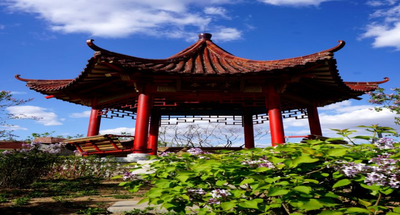 中国医科大学2024年硕士研究生招生 第二批调剂复试安排公告