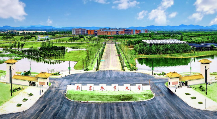 南京林业大学2025年硕士研究生复试须知