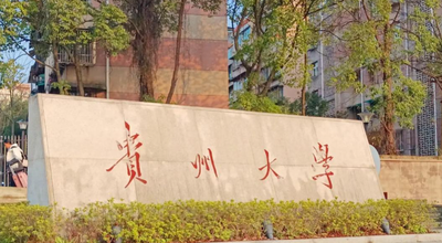 贵州大学关于2025年全国硕士研究生招生考试成绩查询与复核的通知