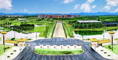 南京林业大学2024MBA调剂公告