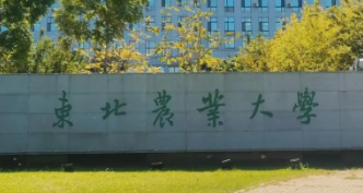 关于东北农业大学2025年全国硕士研究生招生考试初试成绩排名查询的通知