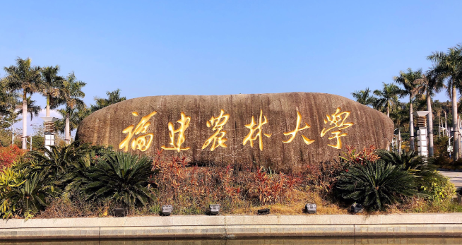 欢迎报考福建农林大学 | 福建省2025年全国硕士研究生招生考试网上报名公告