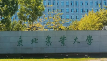 必看！@2025研考生，东北农业大学考点公告，正式发布