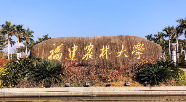 欢迎报考2025年福建农林大学MBA