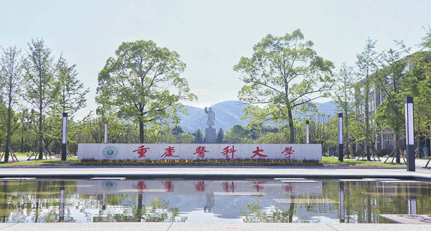 重庆医科大学关于调整全国硕士研究生招生考试初试科目的公告