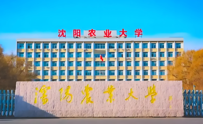 关于发布沈阳农业大学 2025 年硕士研究生招生考试初试成绩的通知