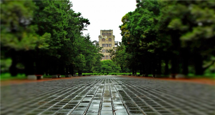西北农林科技大学2024年陕西MBA入学考试笔试成绩查询及面试通知