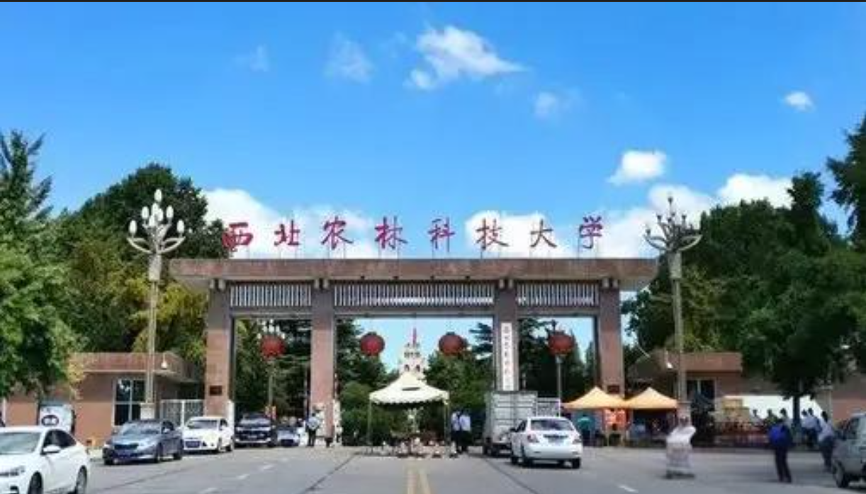 西北农林科技大学考点 (6115) 公告