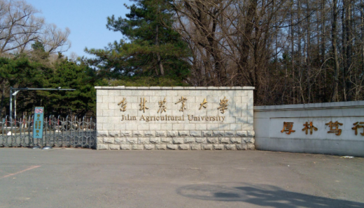 吉林农业大学关于2025年硕士研究生招生考试初试成绩查询及复查的通知