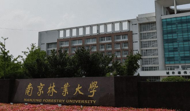 南京林业大学2025年硕士研究生统考拟录取公示（公示已结束）