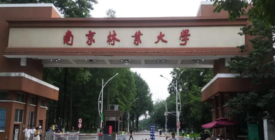2025年南京林业大学硕士研究生招生复试和录取工作实施办法