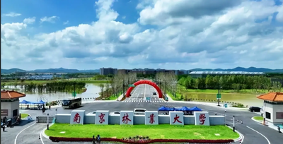 南京林业大学2025MBA调剂公告