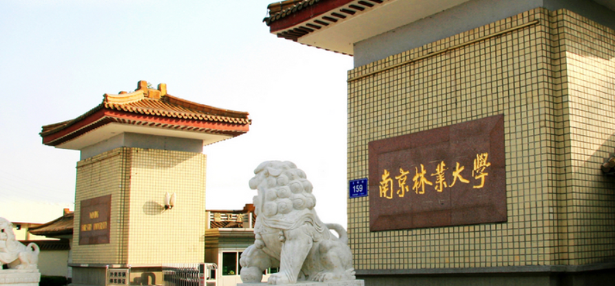 南京林业大学2025MBA复试须知