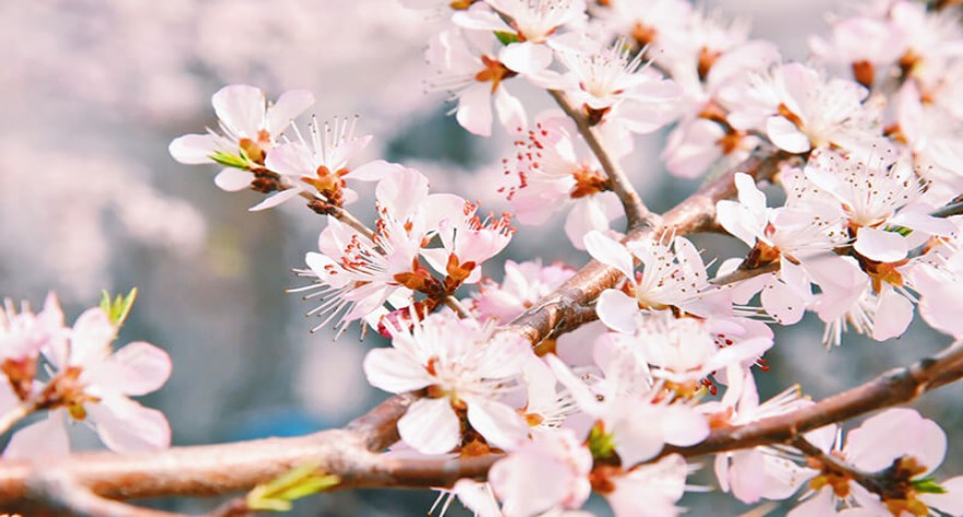 中国人民大学 2025 年硕士研究生招生复试初试成绩基本要求公布