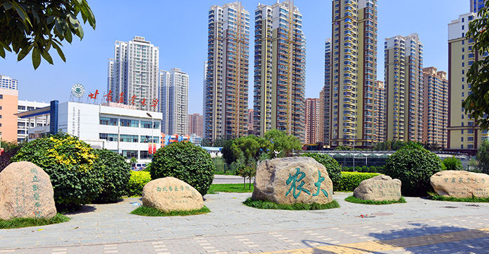 甘肃农业大学2025年全国硕士研究生招生考试初试成绩查询通知