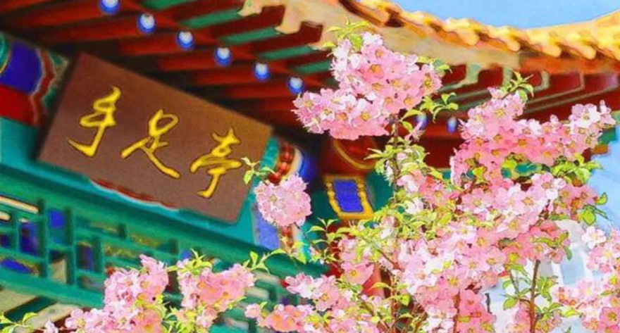 中国矿业大学（北京）文法学院教学助理岗位招聘公告