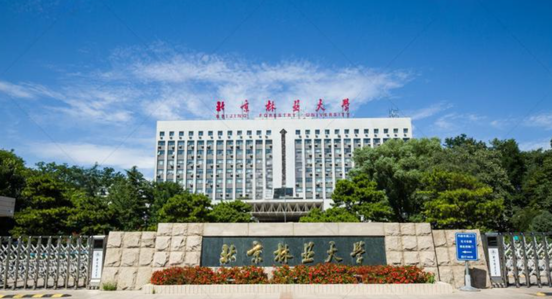 北京林业大学2025年“骨干计划”南疆高校教师专项硕士生招生调剂公告