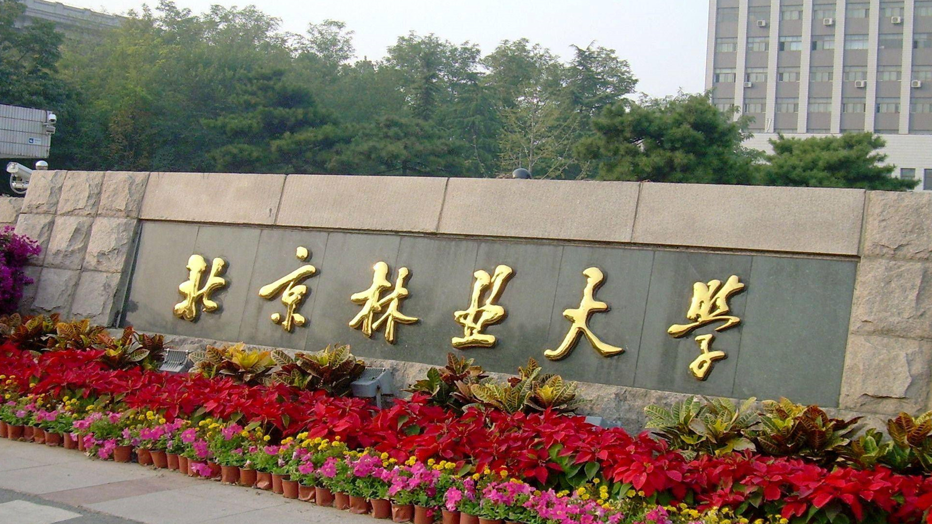 北京林业大学2025年硕士研究生招生复试录取工作办法