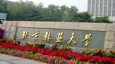 北京林业大学2025年硕士研究生招生复试录取工作办法