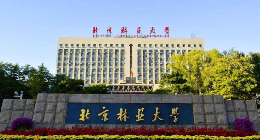 北京林业大学2025年硕士研究生招生考试复试分数线
