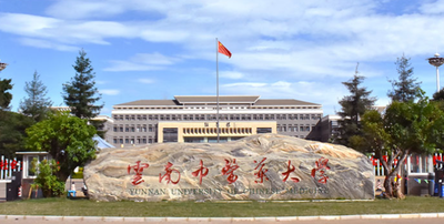 云南中医药大学2025年博士研究生招生考试“普通招考”初试相关事项的通知