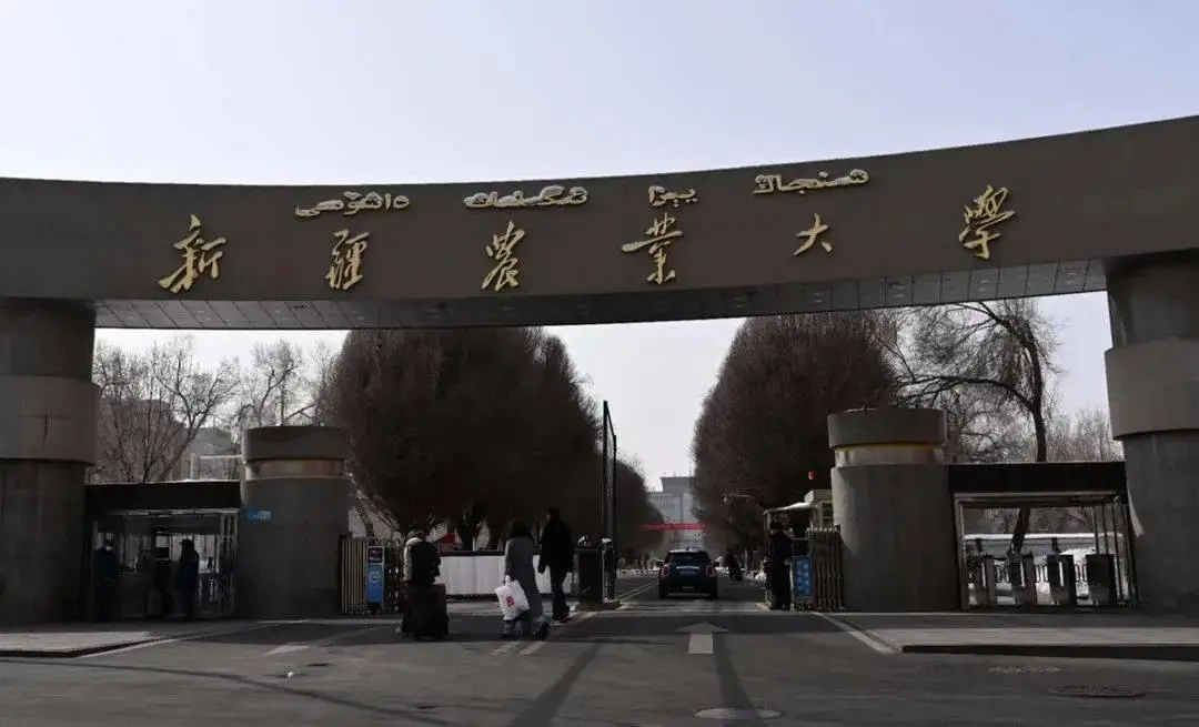 新疆农业大学2025年硕士研究生招生考试初试成绩查询、复核公告