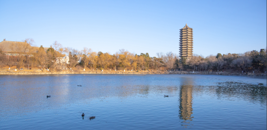 北京大学2026年接收推荐免试研究生办法（校本部）