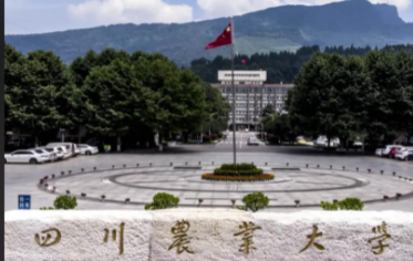 2026年四川农业大学接收推免研究生（含直博生）工作的通知