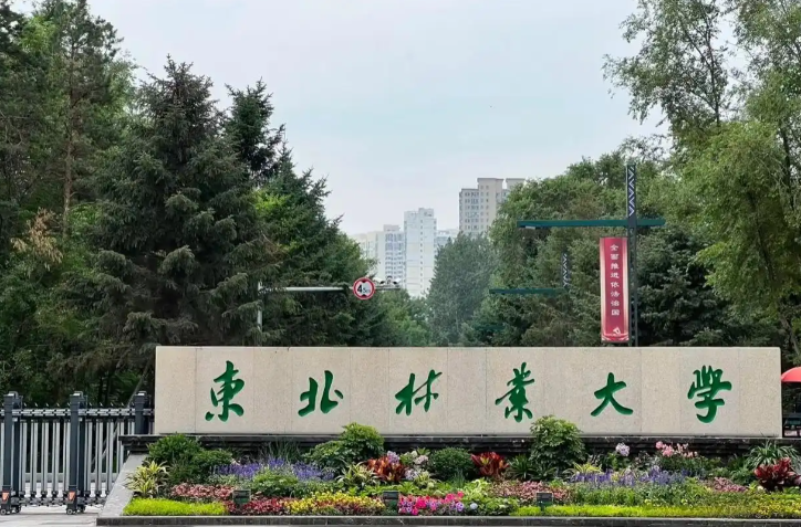 东北林业大学关于接收2026年推荐免试硕士研究生的通知