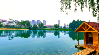 金陵科技学院旅游管理专硕点2025年招生调剂公告