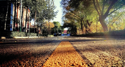 山西大学政治与公共管理学院 2026 年接收优秀应届本科毕业生推荐免试攻读研究生预报名公告