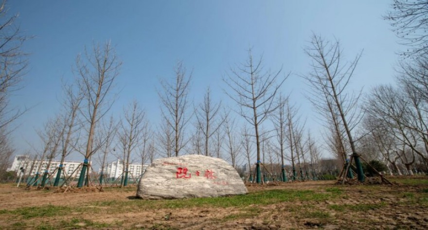 法学与公共管理学院2026年推荐免试研究生（含直博生）复试及录取实施办法