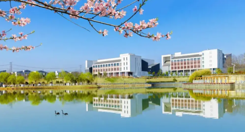 合肥工业大学2026年接收推荐免试研究生办法