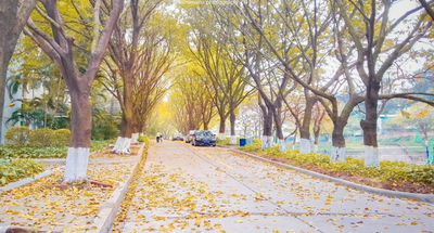 广东财经大学公共管理学院 2026 年社会工作专业推免生预报名公告