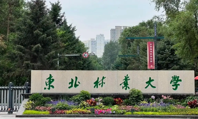 东北林业大学2026年硕士研究生招生简章