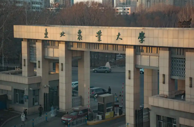 东北农业大学2026年硕士研究生招生简章