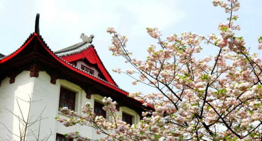 四川大学 2026 年接收优秀应届本科毕业生免试攻读研究生预报名公告