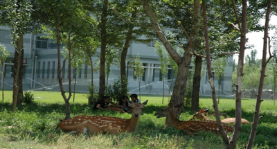 内蒙古科技大学 2026 年推荐免试研究生（含直博生）接收招生细则