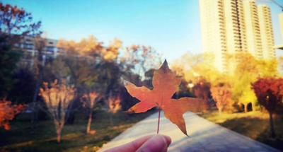 山西财经大学 2026 年推免生复试工作安排通知