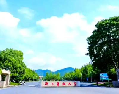 浙江农林大学125500图书情报（专业学位）