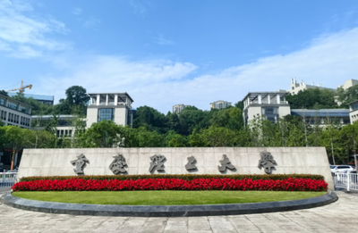 重庆理工大学2025年博士研究生招生考核录取方案