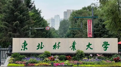 东北林业大学关于接收2026年推荐免试硕士研究生的通知