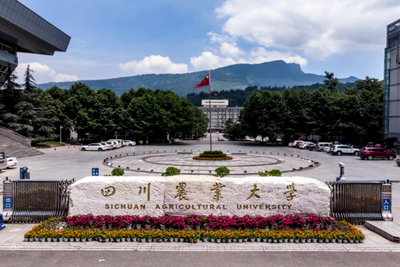 四川农业大学2026年硕士研究生招生章程