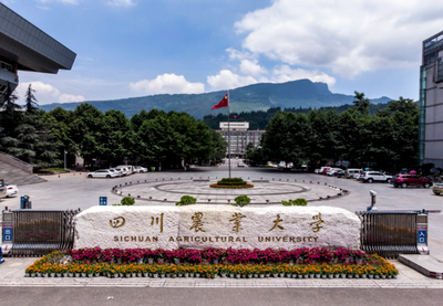 2026年四川农业大学接收推免研究生（含直博生）工作的通知