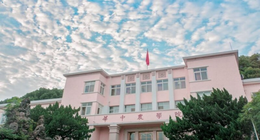 华中农业大学 2026 年硕士研究生招生考试网上报名事宜公告