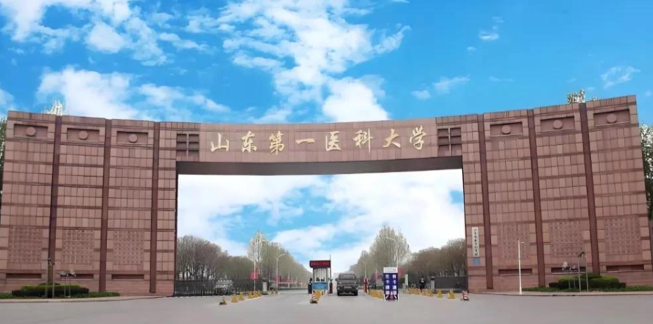 山东第一医科大学2026年硕士研究生招生章程