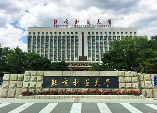 北京林业大学2026年“少数民族高层次骨干人才计划”硕士研究生招生简章