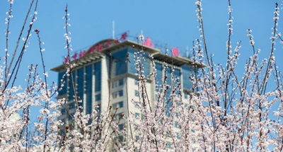 2026年江苏省硕士研究生招生考试南京航空航天大学报考点网报公告